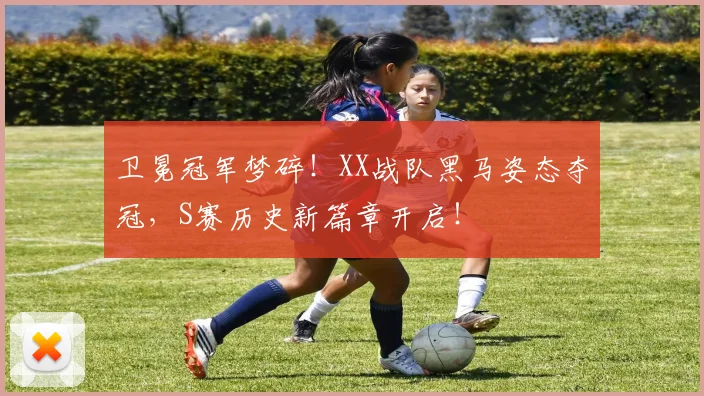 卫冕冠军梦碎！XX战队黑马姿态夺冠，S赛历史新篇章开启！