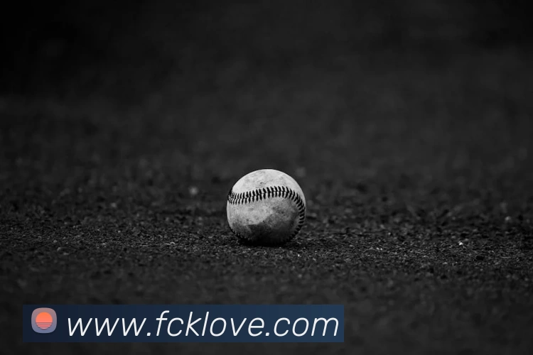 世界杯官网,世界杯买输赢平台生态图